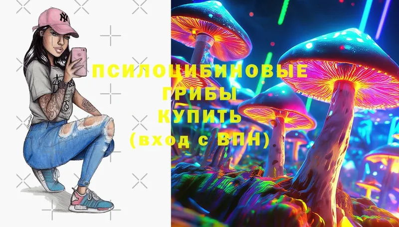 Псилоцибиновые грибы Cubensis  Светлоград 